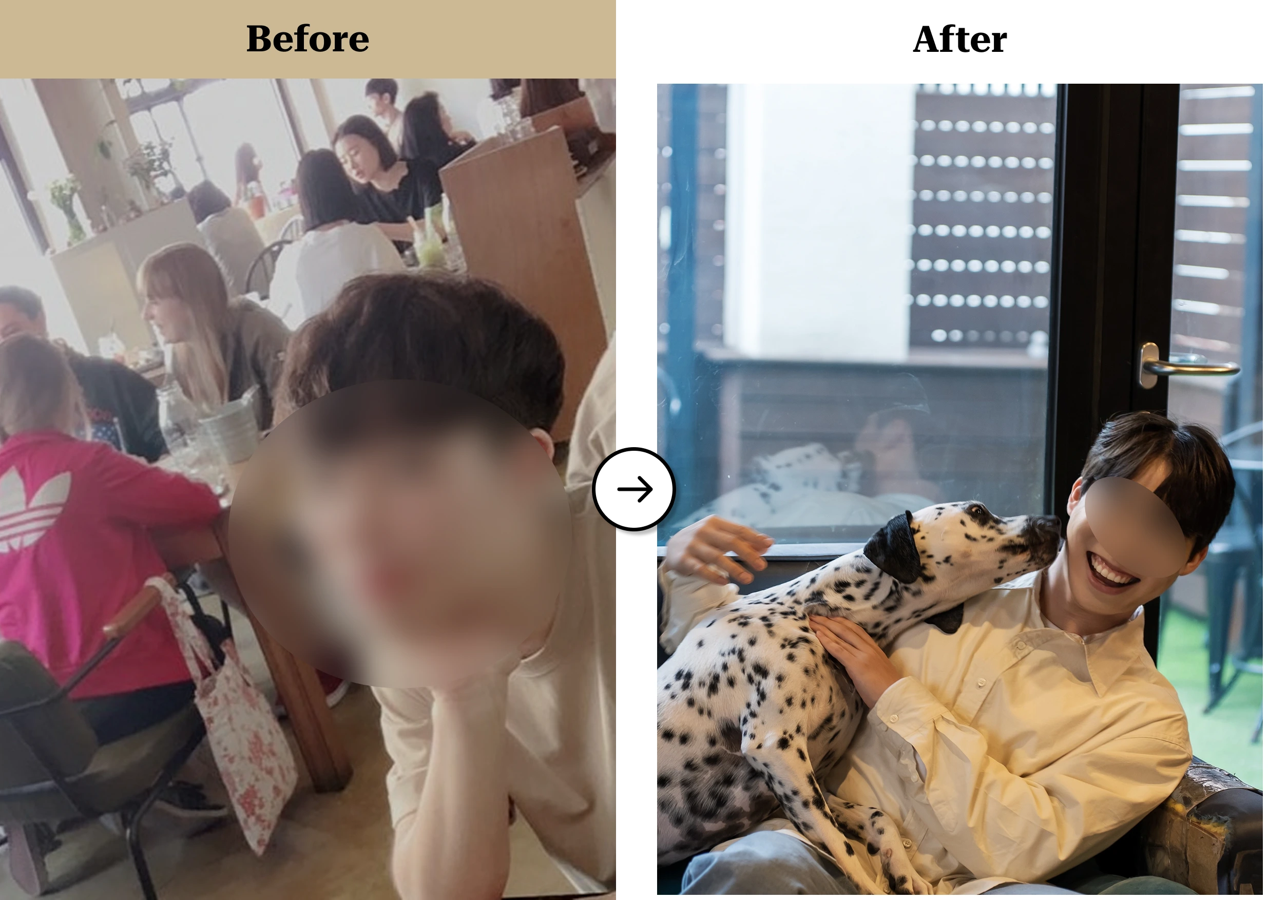 트란시투 결과물 이미지 39