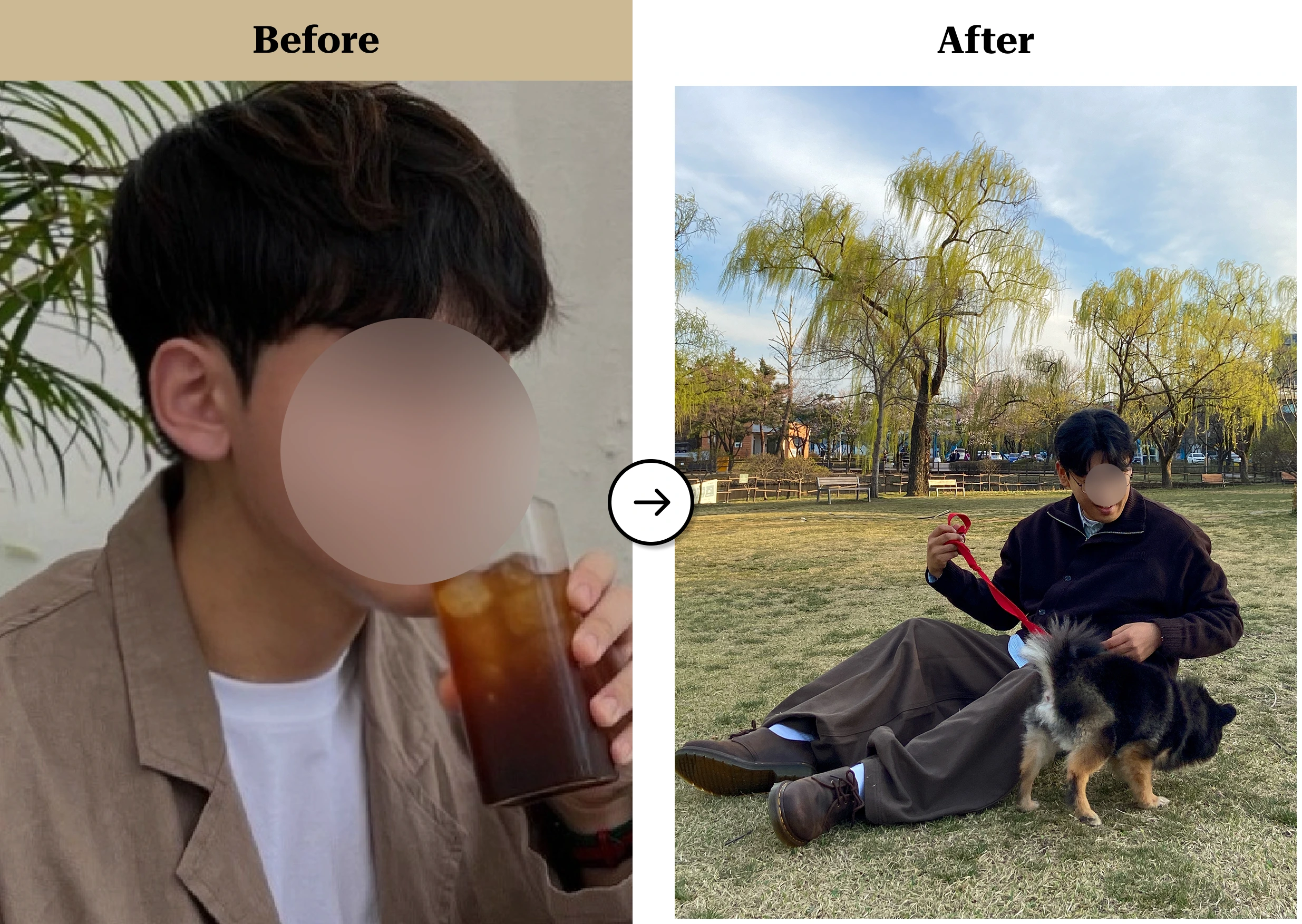 트란시투 결과물 이미지 50