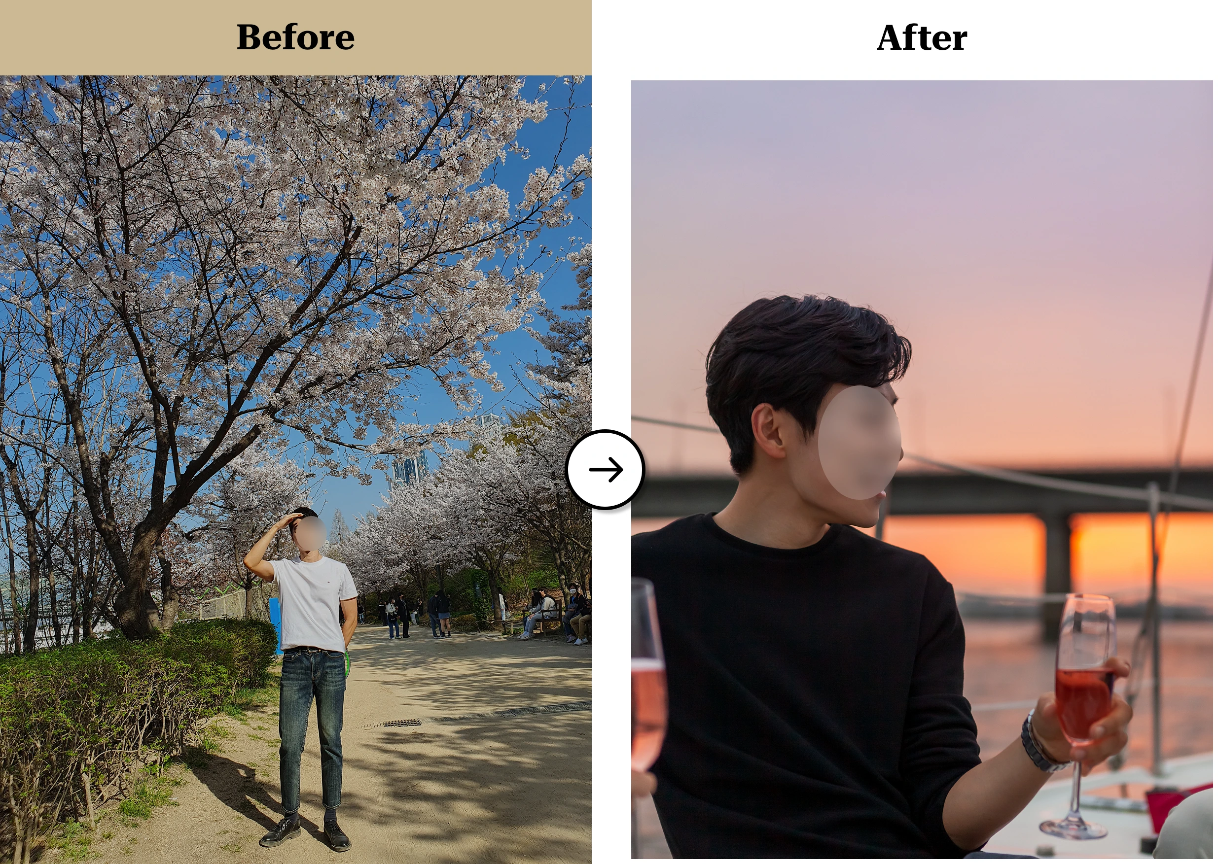트란시투 결과물 이미지 2