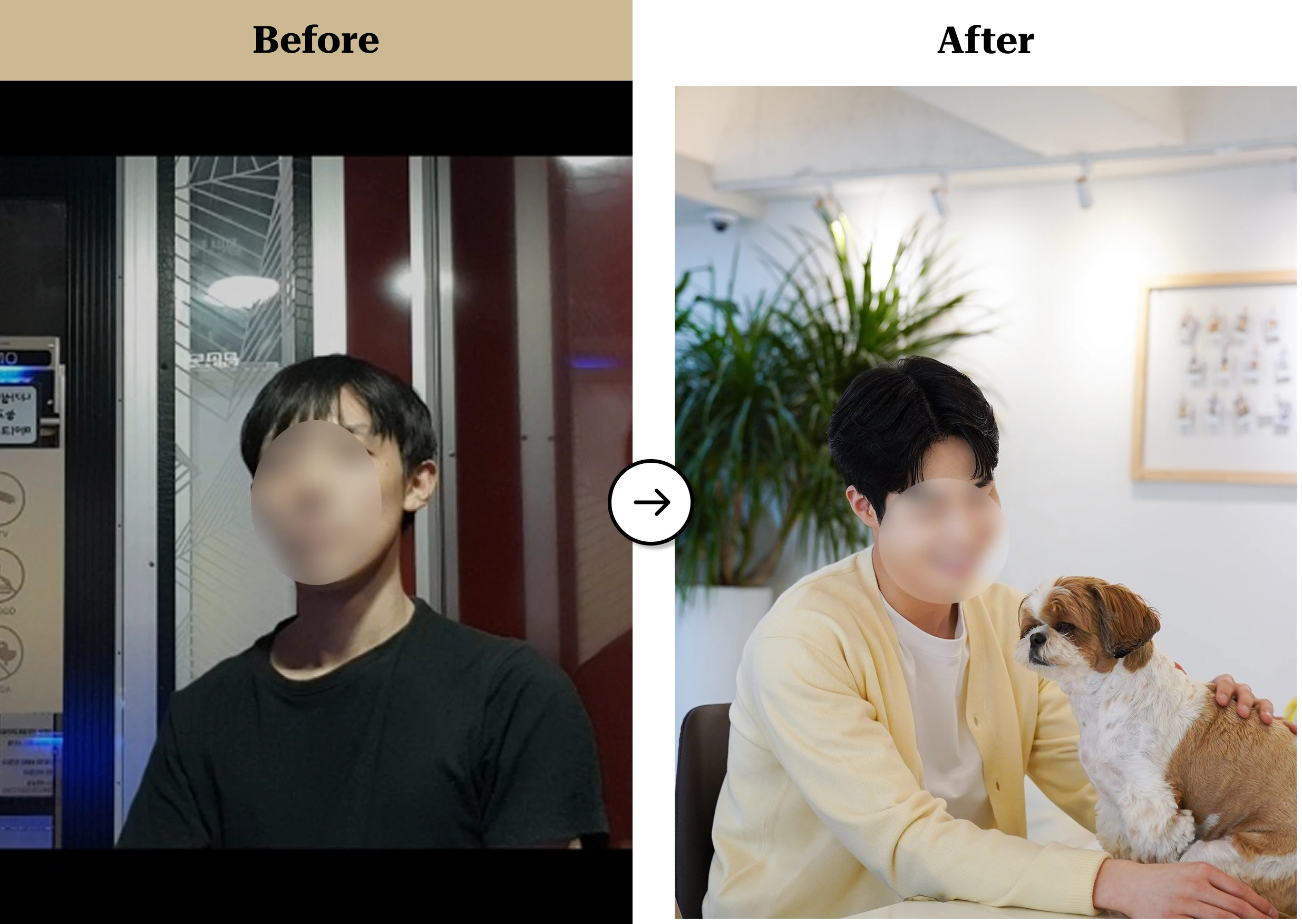 트란시투 결과물 이미지 53