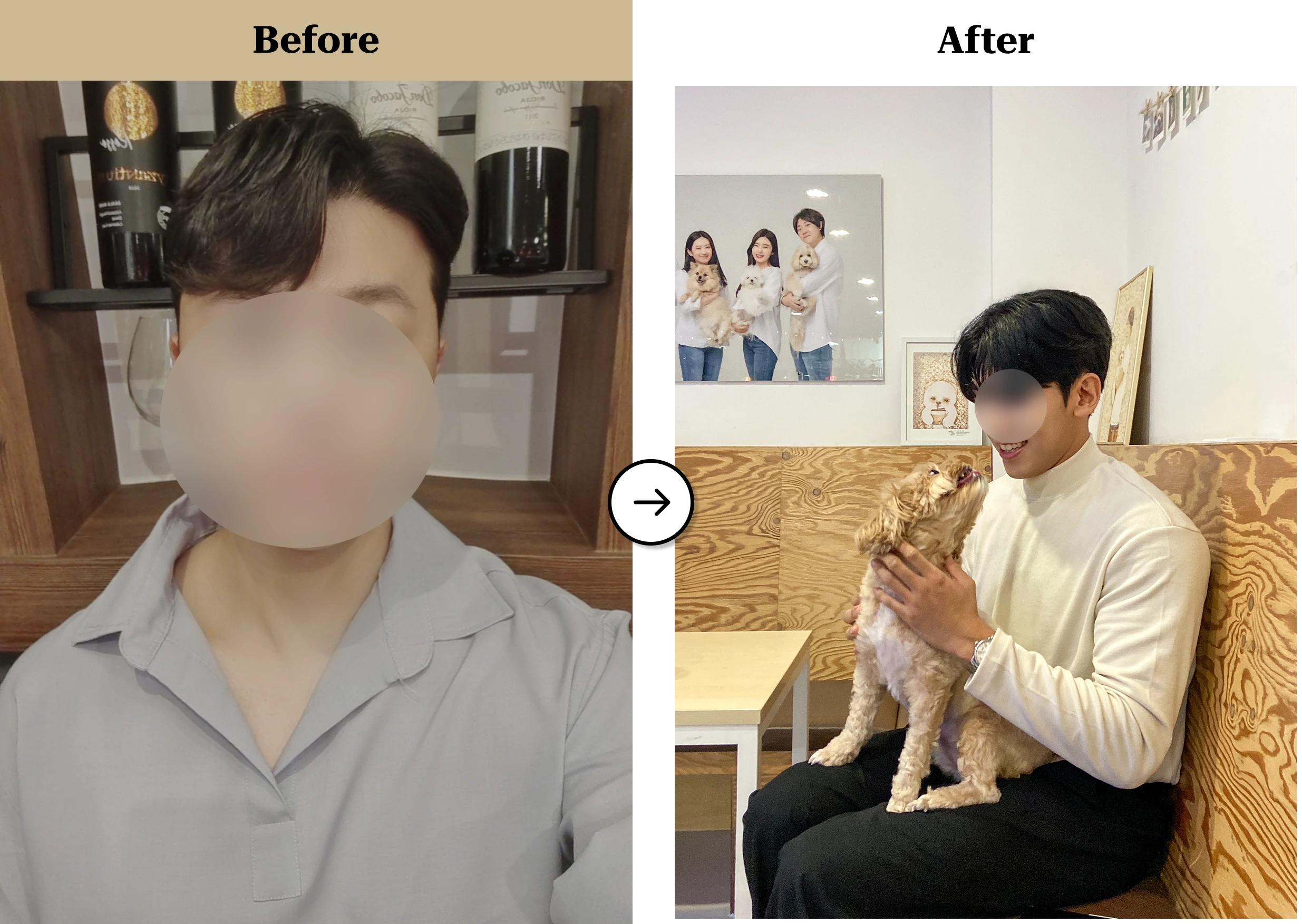 트란시투 결과물 이미지 64