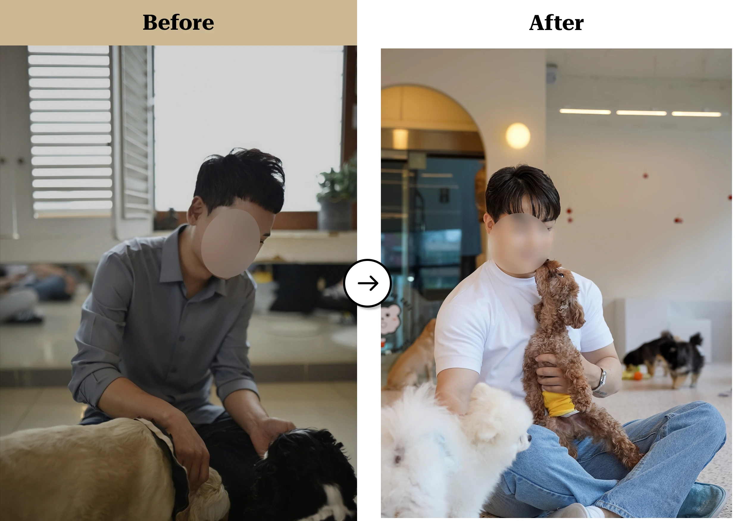 트란시투 결과물 이미지 38