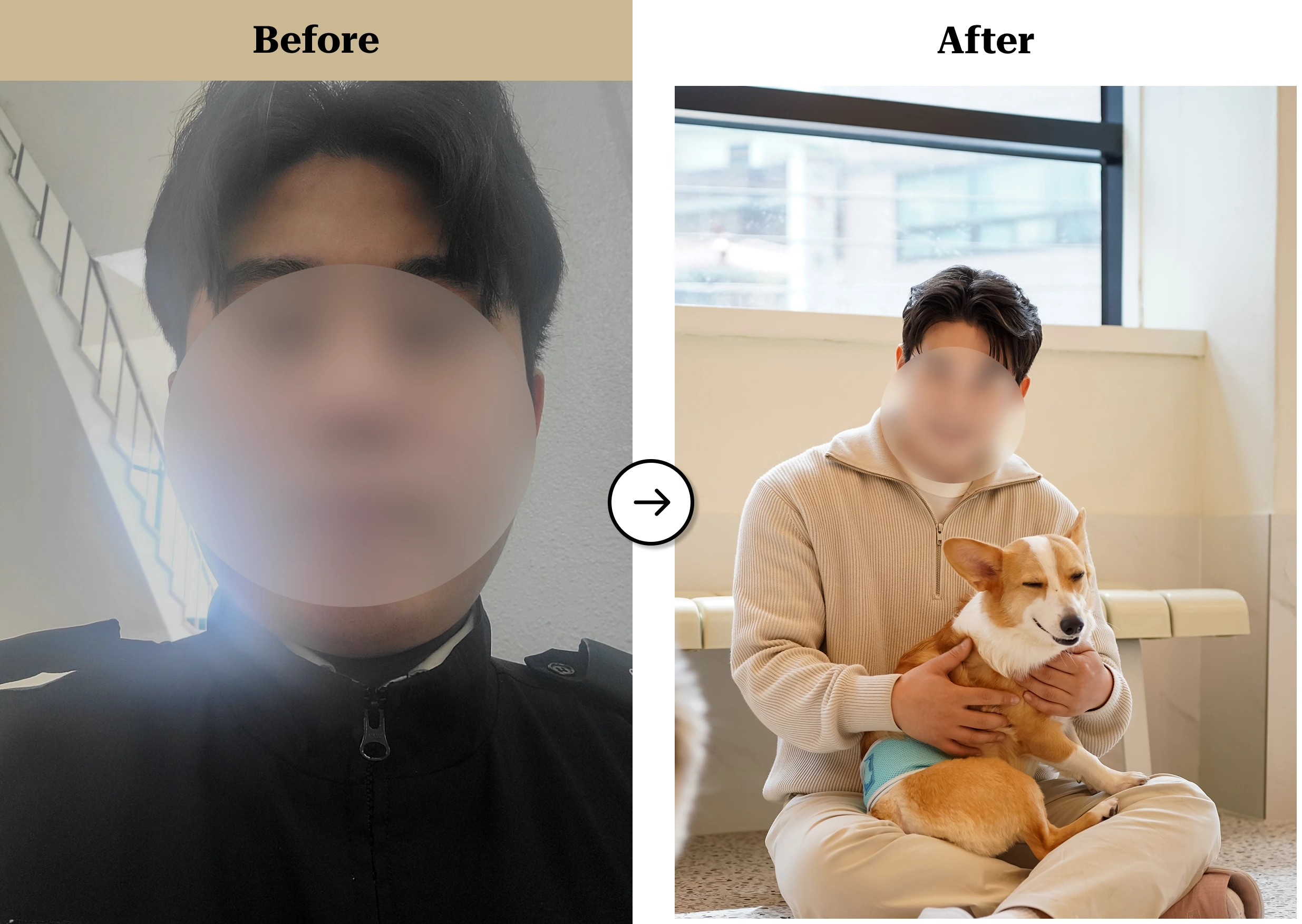 트란시투 결과물 이미지 40