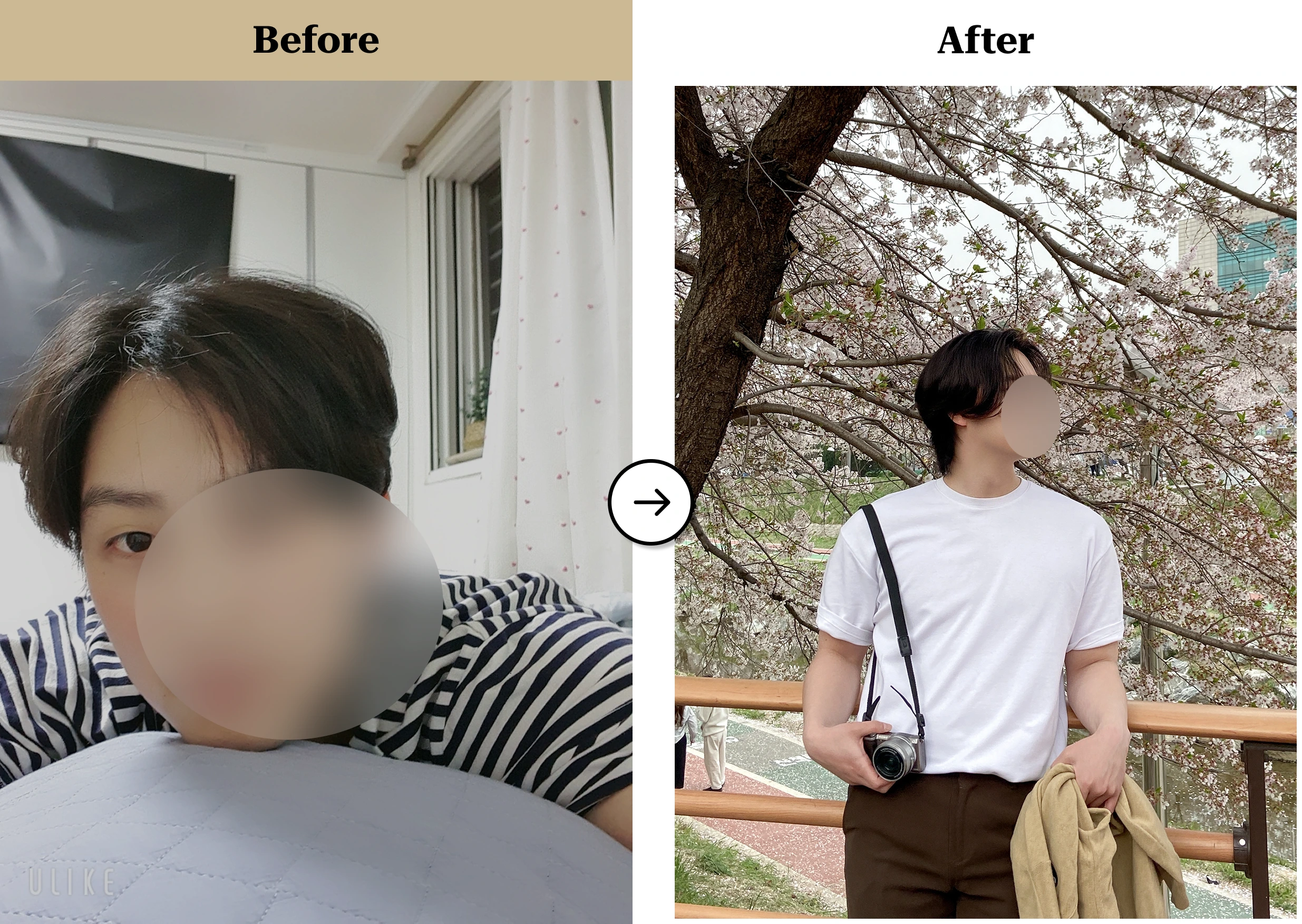 트란시투 결과물 이미지 12