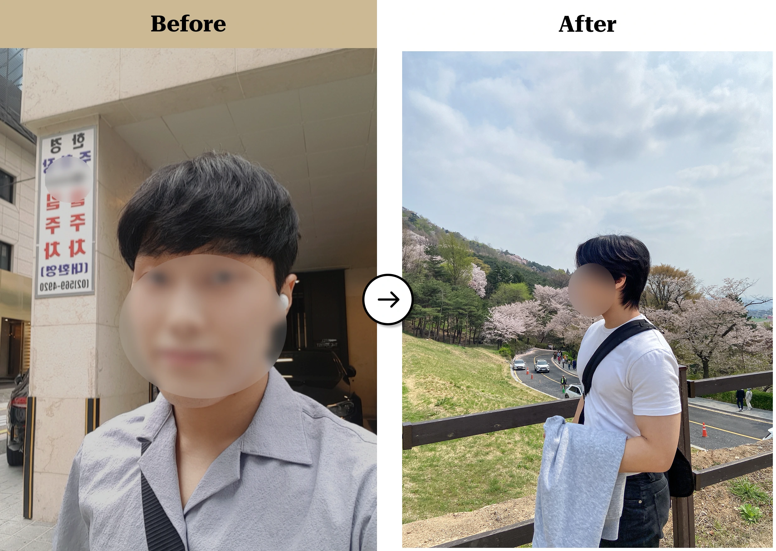트란시투 결과물 이미지 19
