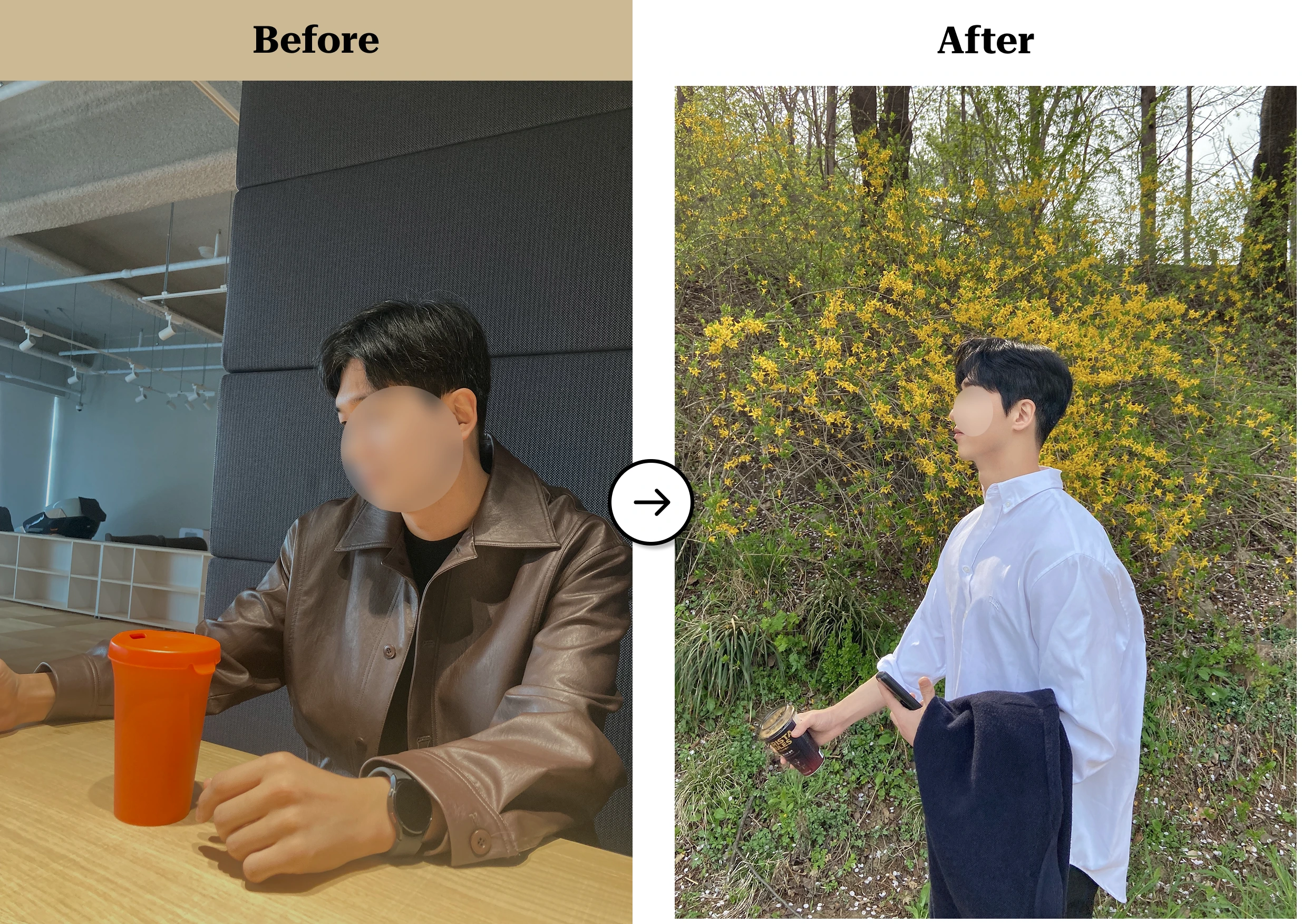 트란시투 결과물 이미지 67