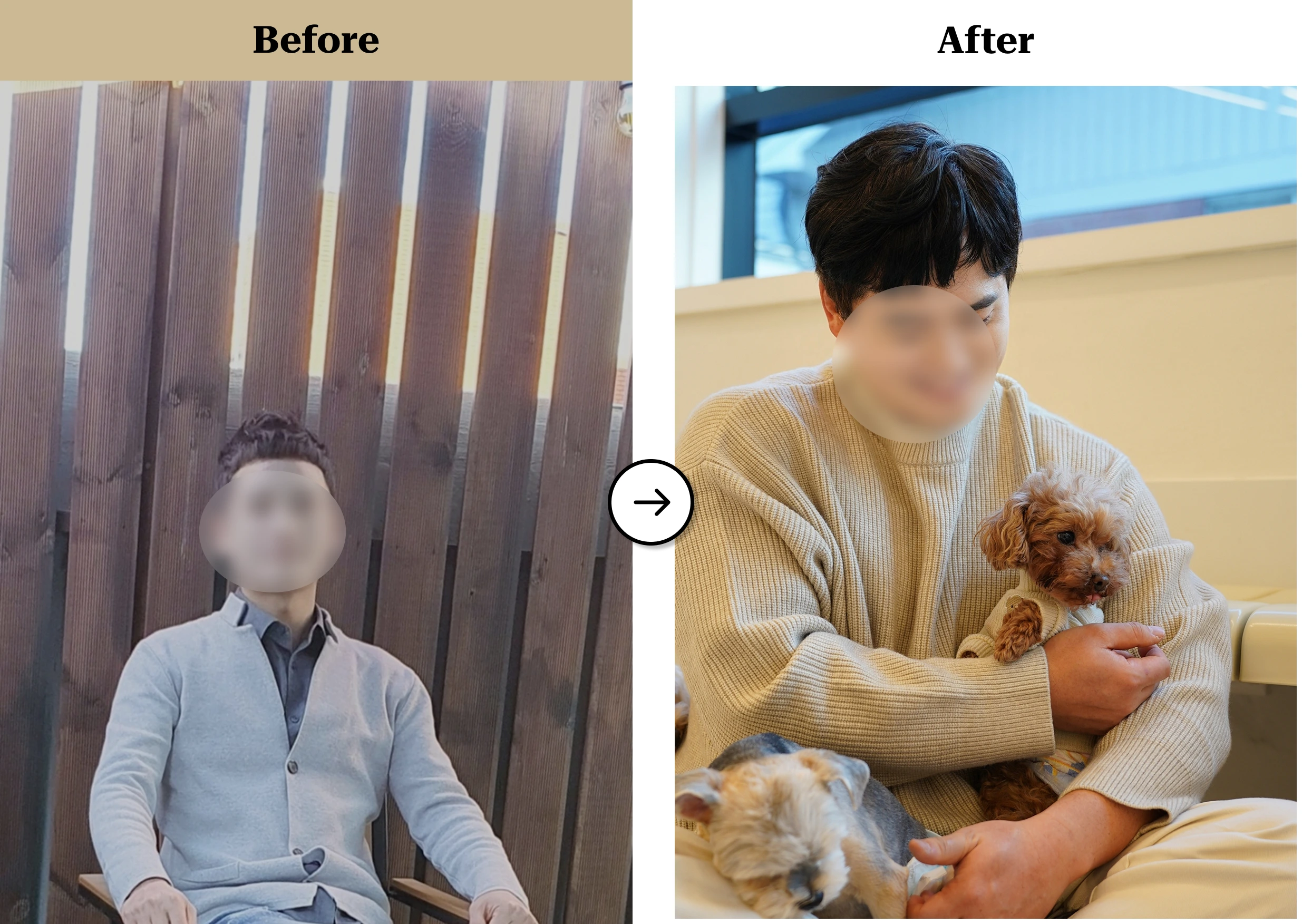 트란시투 결과물 이미지 14