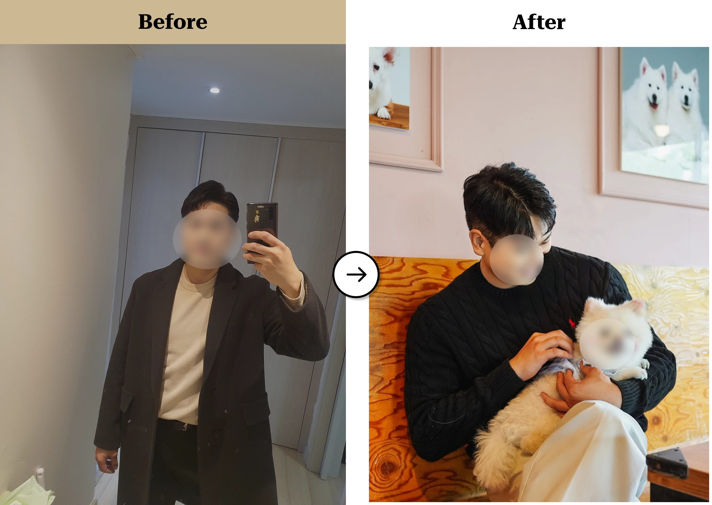 트란시투 결과물 이미지 17