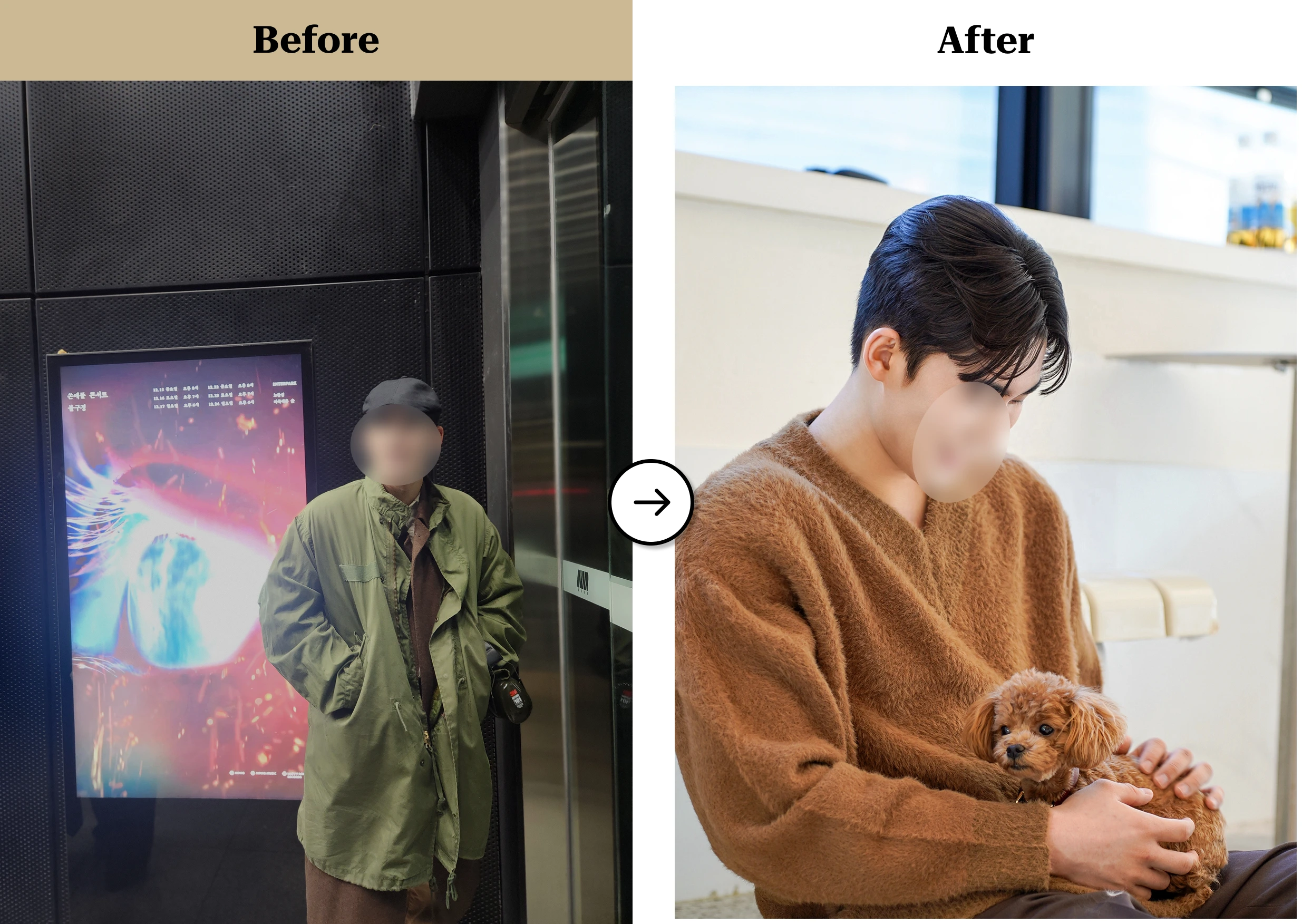 트란시투 결과물 이미지 18