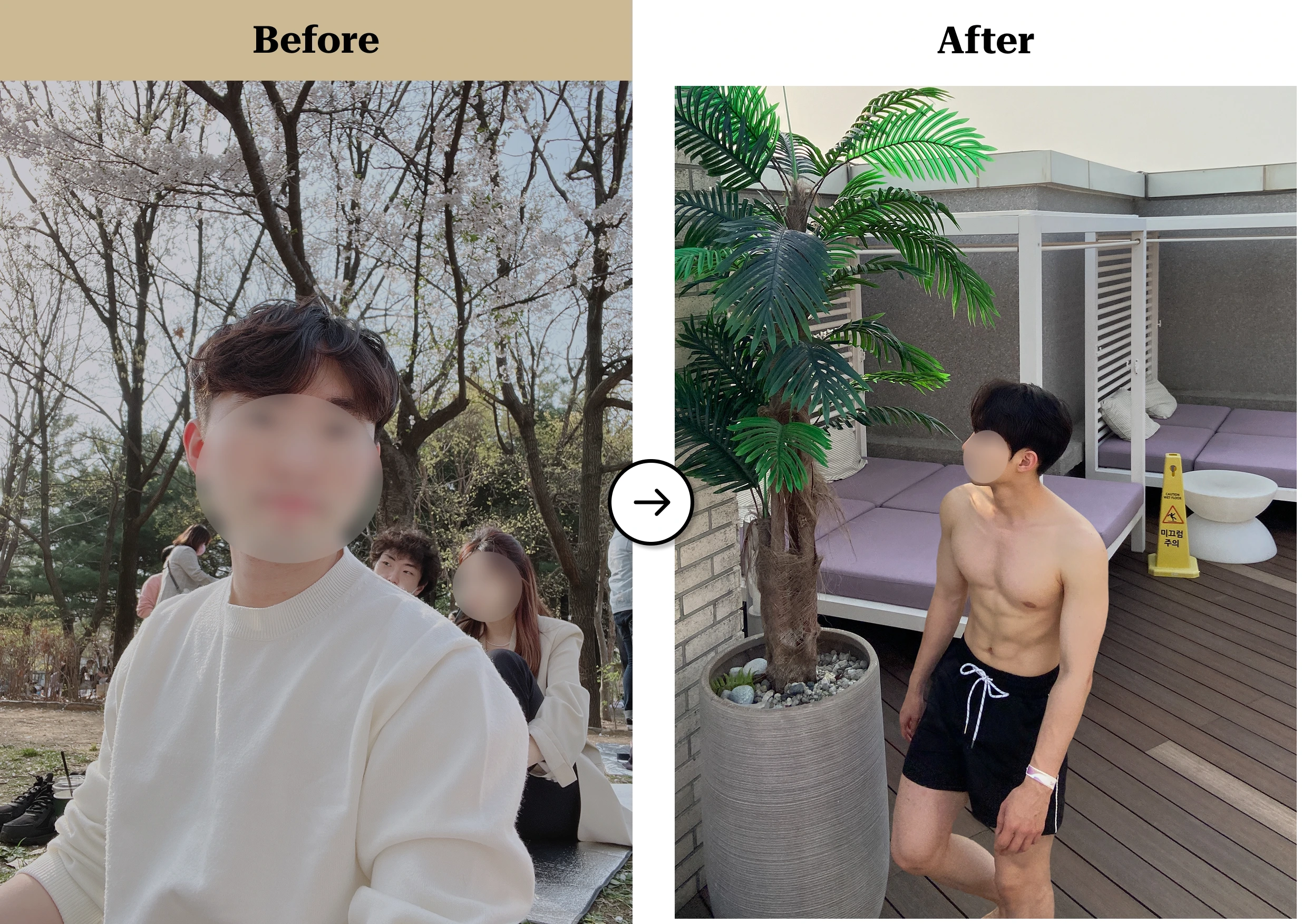 트란시투 결과물 이미지 22