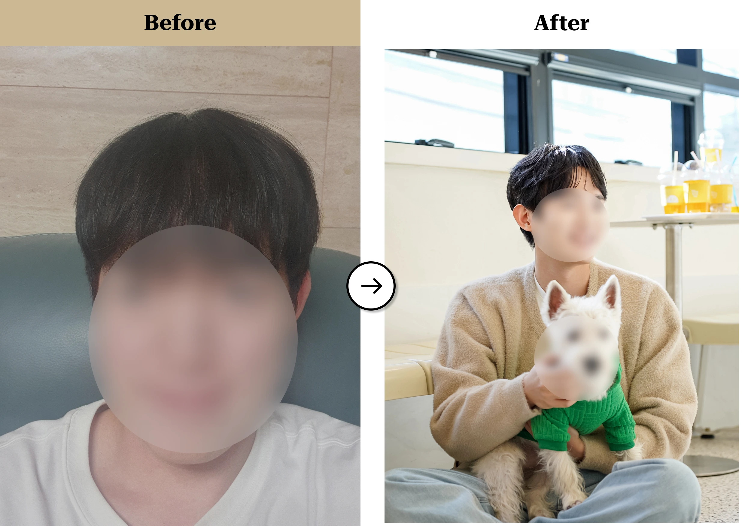 트란시투 결과물 이미지 24