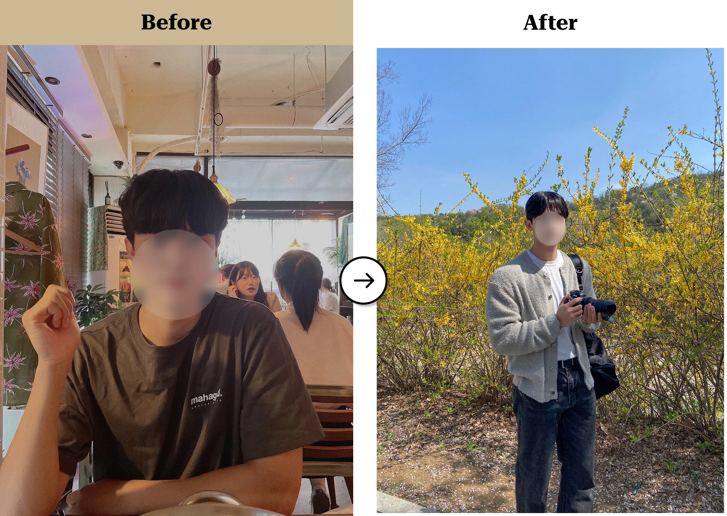 트란시투 결과물 이미지 28