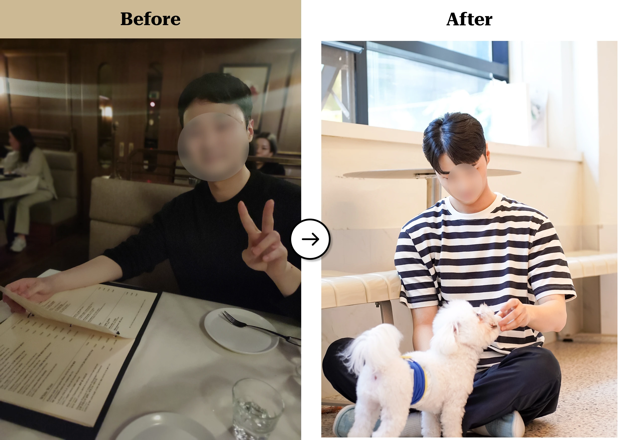 트란시투 결과물 이미지 42