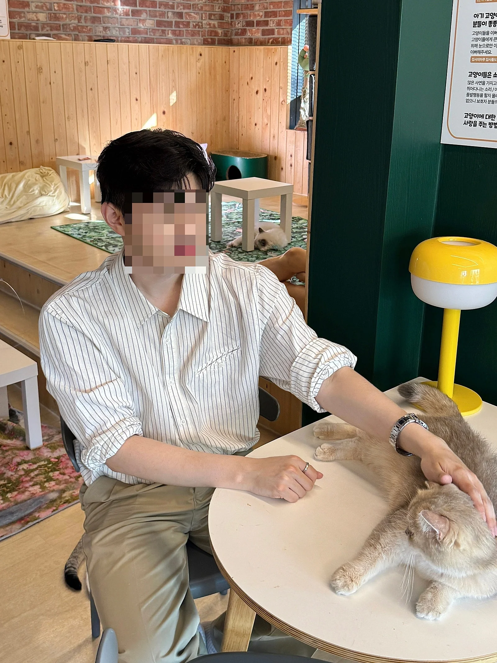 후기 이미지