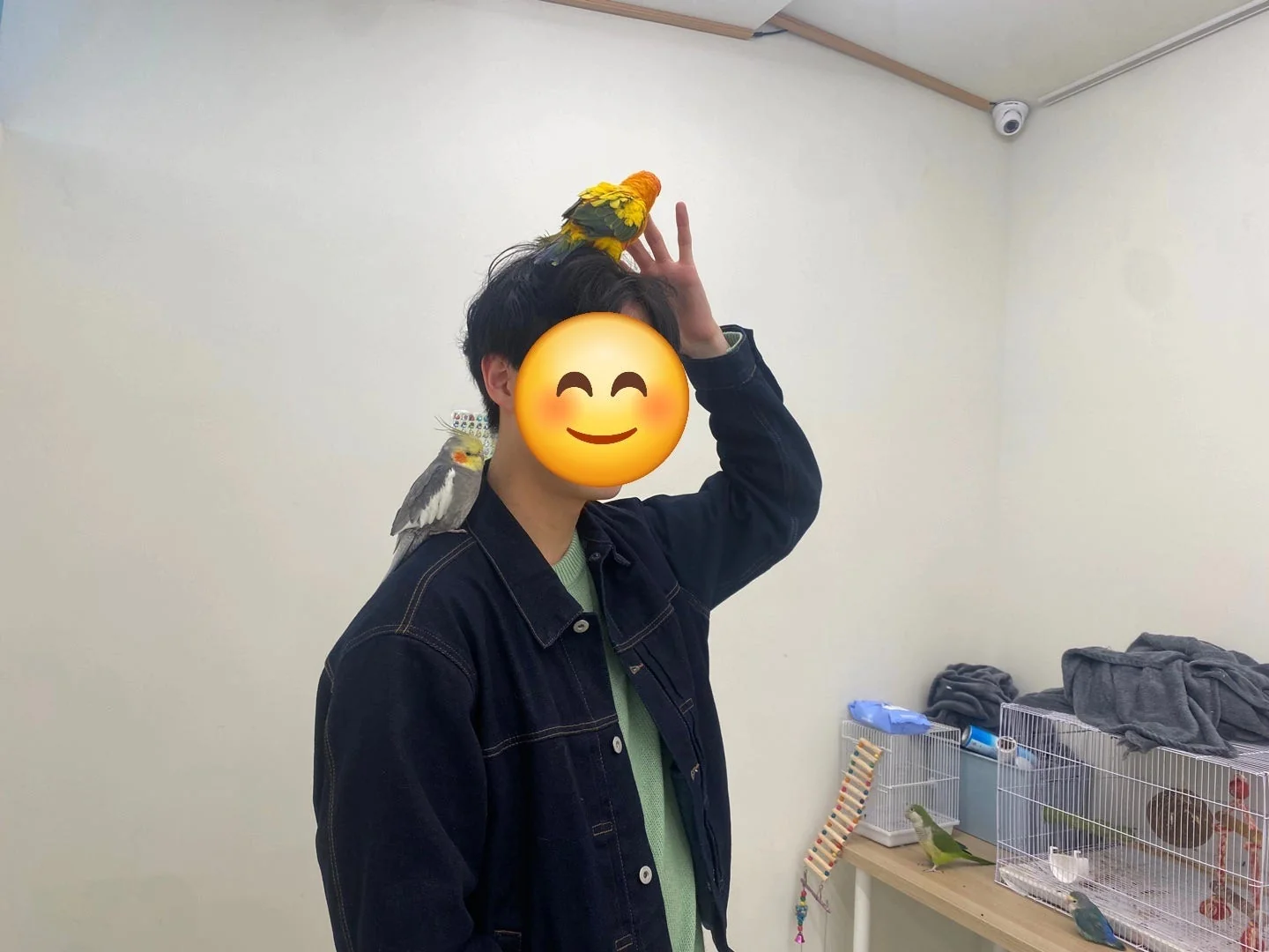 후기 이미지