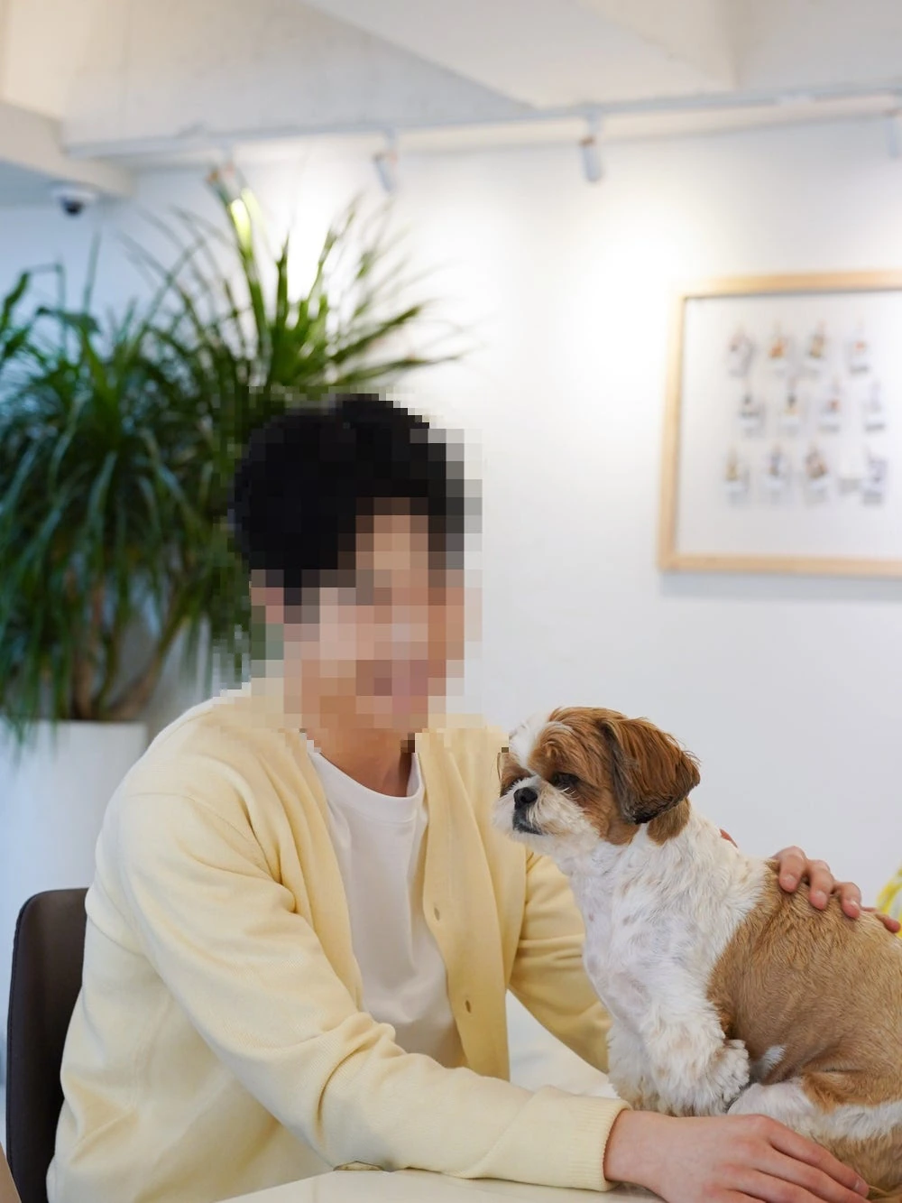 후기 이미지