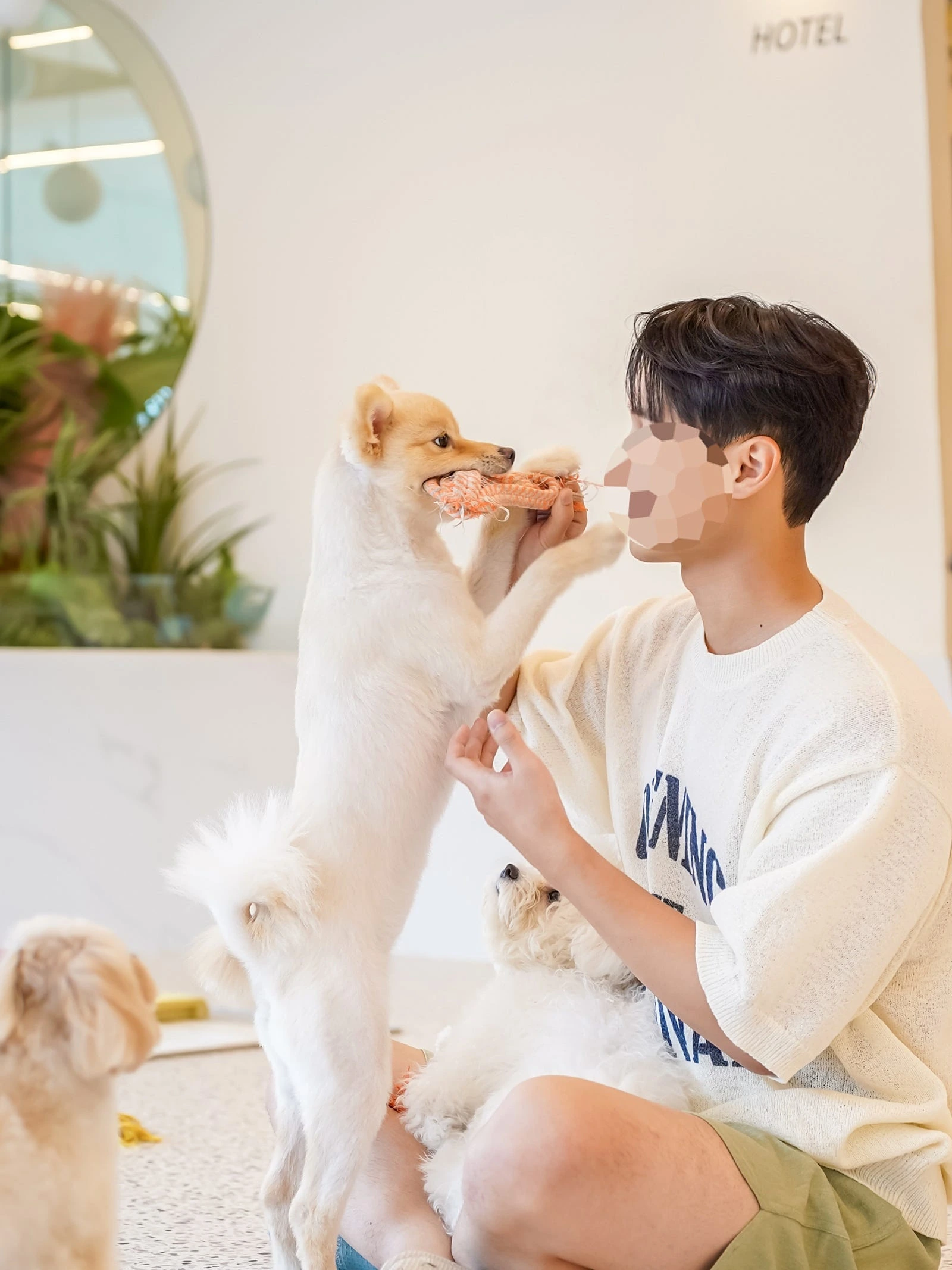 후기 이미지