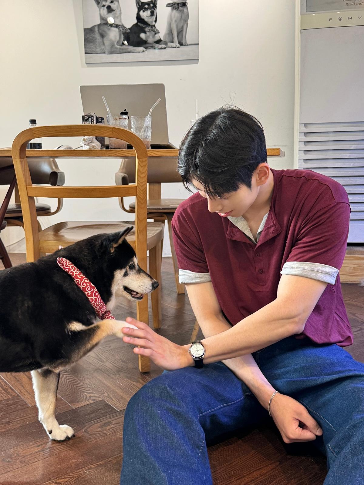 고객 후기에 첨부된 사진