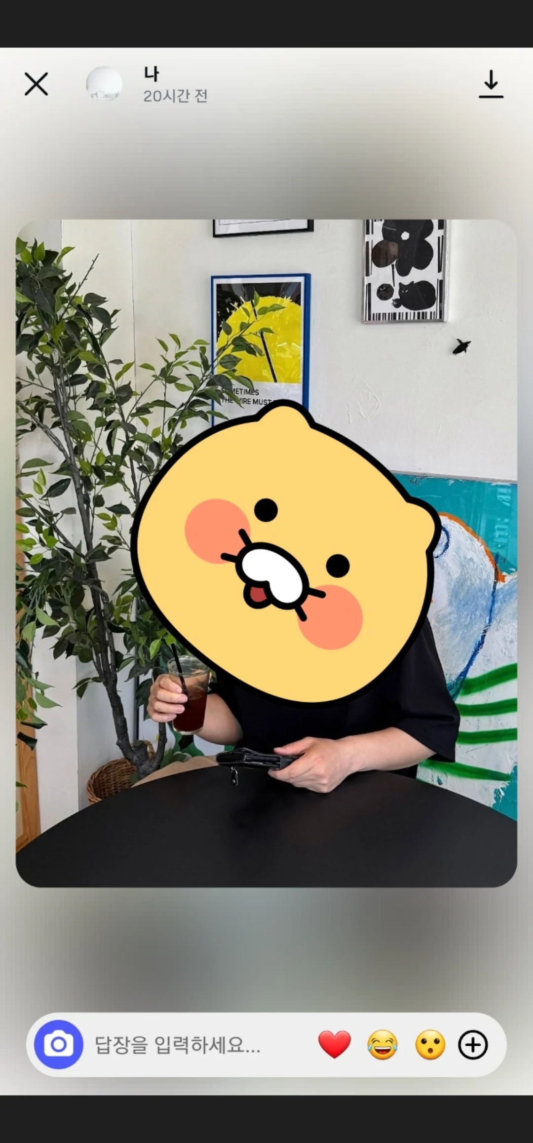 트란시투 만족스럽습니다!